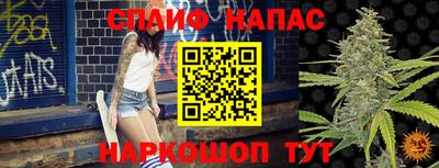 мяу мяу мука Будённовск