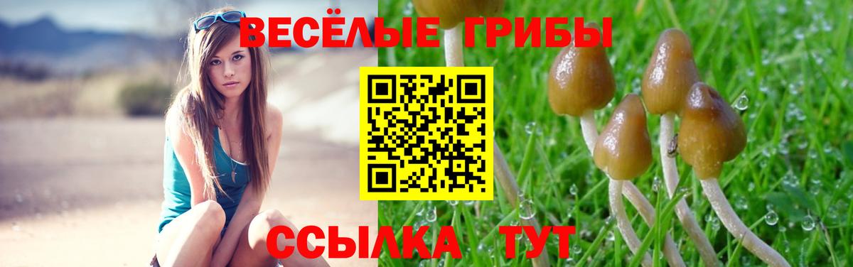 Саянск  что такое наркотик  Галлюциногенные грибы мухоморы  Вход с VPN  Галлюциногенные грибы Psilocybe 
